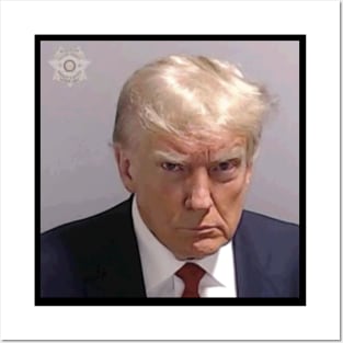 Trump Mugshot Posters and Art